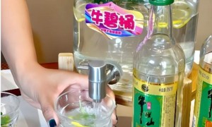 年轻人不买账，中年人喝不起！茅台跌破1600，终于承认只是瓶酒？