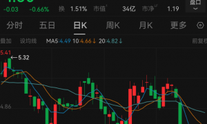 “95后”女商人林晓晴连任成都路桥董事长，去年薪酬92万元